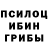 Галлюциногенные грибы GOLDEN TEACHER L1haz
