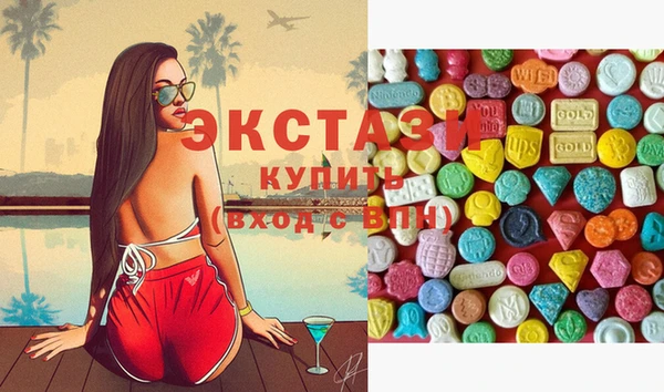 дживик Снежногорск