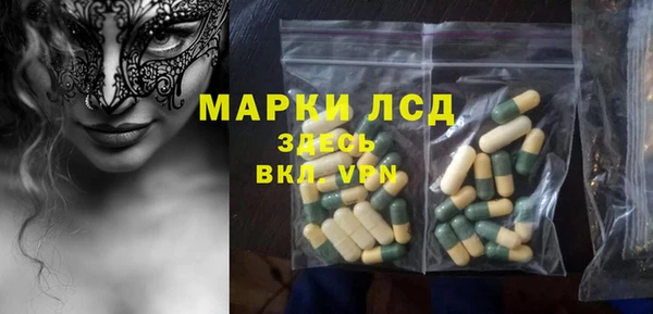 дживик Снежногорск