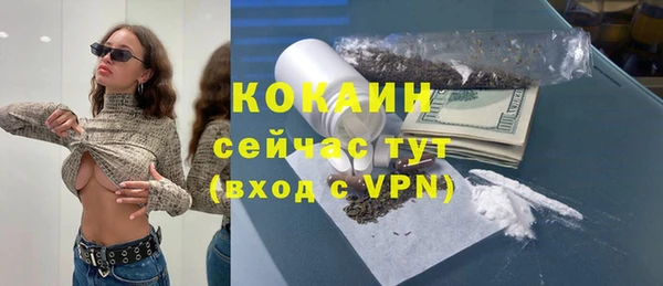 дживик Снежногорск
