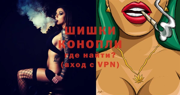 spice Снежинск