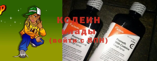 дживик Снежногорск