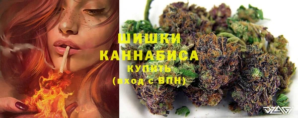 spice Снежинск