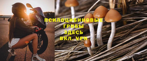 дживик Снежногорск