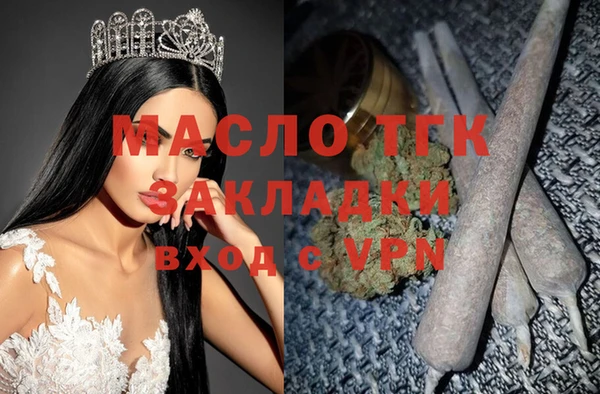 дживик Снежногорск