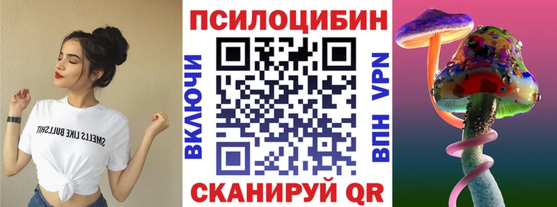 Купить закладки  Морозовск  Псилоцибиновые грибы GOLDEN TEACHER 